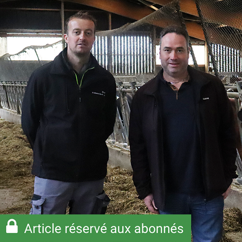 Olivier Guyon est accompagné dans la gestion technico-économique de son exploitation par Gabriel Hertschuh. © Photo Marion FALIBOIS