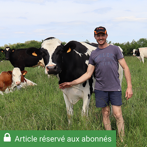 Cédric Granclair élève une cinquantaine de vaches laitières, à Nonville, dans les Vosges. © Photo Mélanie Becker