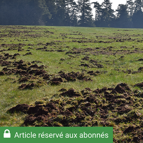 Dégâts de gibier sur prairie. © Photo archives