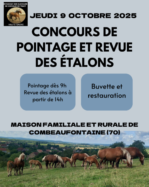 Affiche concours pointage