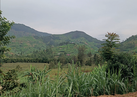 Rwanda : le pays des mille collines. © Photo DR