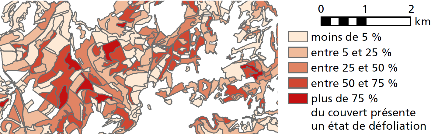 Extrait du résultat de la cartographie de l’état sanitaire du hêtre dans le secteur de Montbéliard.