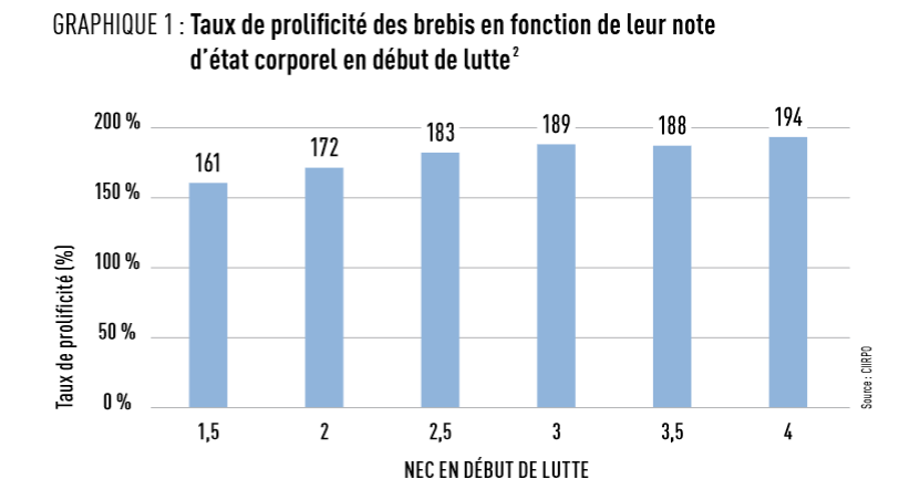 L’état corporel des brebis à la mise en lutte a une influence sur leur taux de prolificité (brebis de race Mouton Vendéen, lutte naturelle d’automne)