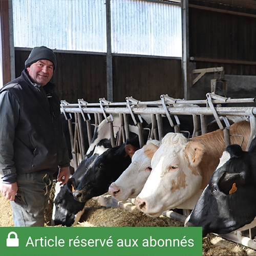 «Nous avons arrêté l’engraissement des taurillons pour nous spécialiser dans la production laitière», explique Alain Grandvallet. © Photo DR