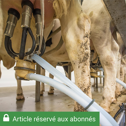 Si les robots de traite gagnent du terrain, les salles de traite restent majoritaires. © Photo DR