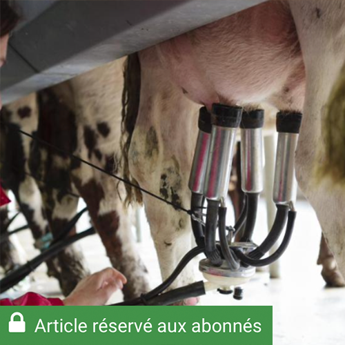Si les robots de traite gagnent du terrain, les salles de traite restent majoritaires. Photo : Lucie Page/CNIEL