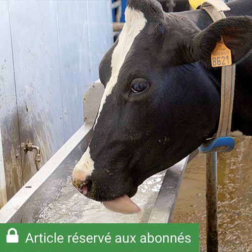 Il est important de positionner les points d’eau à proximité de la salle de traite et des zones d’alimentation. © Photo Ilona Bonjean